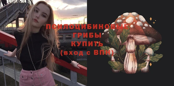 ALPHA PVP Алексеевка