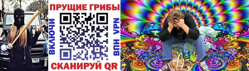Галлюциногенные грибы MAGIC MUSHROOMS  Купить где  Курск 