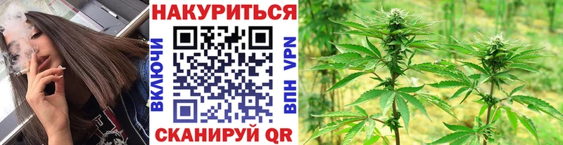 Марихуана планчик Купить Курск